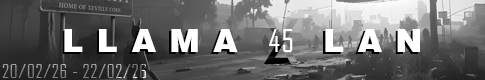 LlamaLAN 45